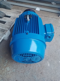 Motor Weg trifásico 30 cv trifásico de baixa rotação - comprar online