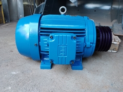 Motor Weg trifásico 30 cv trifásico de baixa rotação