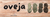 Carrusel Rueca Andina