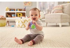 Chocalho Animais Divertidos - Camaleão - FISHER-PRICE