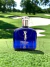 N. G174 Dream Brand Collection 100ML - Polo Blue - Vetiver Perfumaria