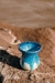 MATE #4 | LINEA OCEANO - comprar online