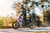 Motos