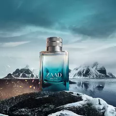 Zaad Arctic Eau de Parfum 95ml - ALS Imports ME