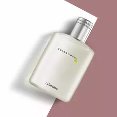 Insensatez Desodorante Colônia 100ml na internet