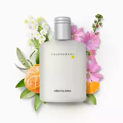 Insensatez Desodorante Colônia 100ml - ALS Imports ME