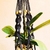 Suporte Flora