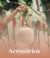 ACESSÓRIOS