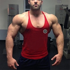 2022 New Arrivals Men's Stringer Singlets Sem Manga Fitness Musculação Regatas Roupas de Treino de Ginásio para Homens na internet