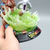 Luminária Goku Genki Dama 25cm - loja online