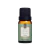 ESSENCIA 10ML (GREEN WOOD)