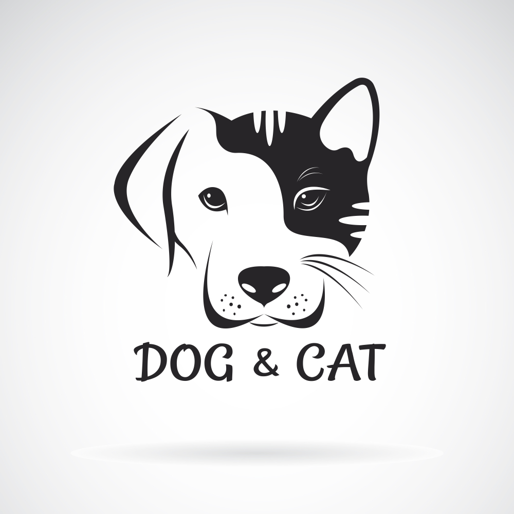 Cat e Cão
