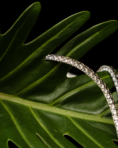 Colar Riviera 42cm 4 Garras - Prata925 - comprar online