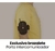 Intercomunicadores KIT X 2 - Fox T9s-v4 X2 - BICI - TREKKING ETC - comprar online