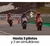 Intercomunicador Bluetooth Fox Fs2 Pro P/ Moto - comprar online