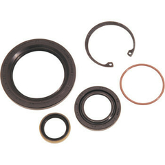 Kit de sello del engranaje impulsor principal "JAMES GASKET" 0935-0124 - comprar en línea