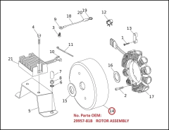Rotor del Alternador FL, FX, FXD 81-96 - "DRAG SPECIALTIES" DS-195206 - comprar en línea
