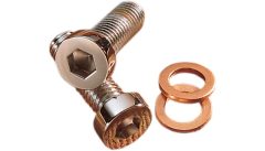 Tornillo de suspension delantera XL FX FLH "Gardner westcott" (DS-222051)