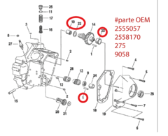 Kit de baleros de arbol de levas "Eaestern motorcycle parts" (DS-194195) - comprar en línea