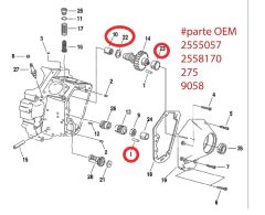 Kit de baleros de arbol de levas "Eaestern motorcycle parts" (DS-194195) - comprar en línea