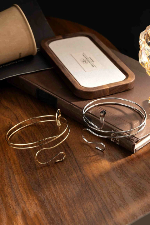 Brazalete Serpiente Dorado y Plateado — Edición Audaz