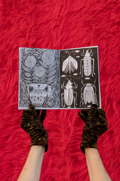 Oscuro y brillante. Libro para colorear ♡ - comprar online