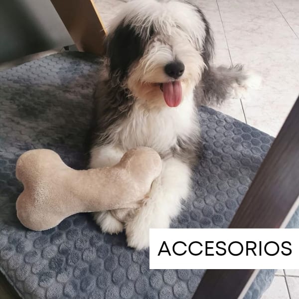 Banner de Mufasa Pet Store