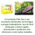 Formicida Em Pó Pikapau 1kg 50s Contra Formigas Doceira - comprar online