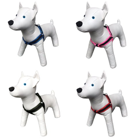 Coleira Peitoral Com Guia Nylon Premium Americano P