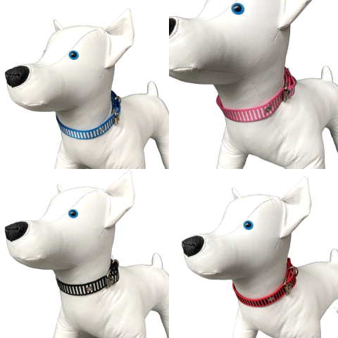 Coleira Cachorro Pequeno Nylon Reforçado Com Ajuste N°5
