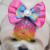 Kit 12 Caneta Glicerina Pintar Colorir Pet Grooming Pop - Suporte Pet 