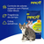 Areia Higiênica Pipicat Campestre Para Gato 4KG na internet