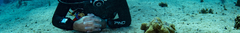 Banner da categoria LINHA RECREATIVA