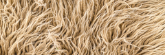 Banner for category Boho