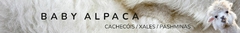 Banner for category BABY ALPACA