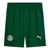 Short Palmeiras II 25/26 - Masculino Puma - Verde