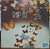 Disco de Vinil LP Rap Fly