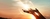 Imagem do banner rotativo 2
