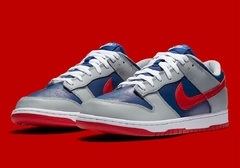 Dunk Low Silver Samba en internet