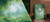 Slider 3
