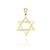 Pingente Estrela de Davi Vazada (2,6cmX2,1cm) (Banho Ouro 24k)