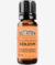 Óleo Perfumado Benjoim 10 ml