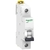 A9K24116 - TERMICA IK60N 1X16A CURVA C 6KA - SCHNEIDER