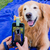 Acessório de Selfie Para Pet Amupets