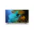 Android TV LED HD 32" - comprar online