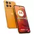 Motorola Moto G15 en internet
