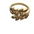 Conjunto Chocker, Colar, Pulseira e Brincos e Anel Folhagem Dourada Banhado em Ouro 18K
