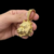 Pingente Pitbull Poze Pz Rodo Banhado A Ouro 18k Luxo - comprar online