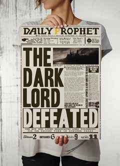 Poster, Cartel, The Dark Lord Defeated, Harry Potter