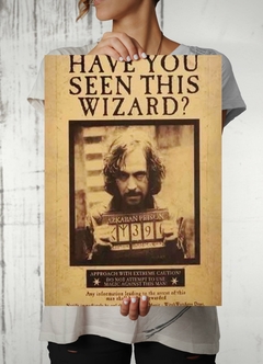 Poster, Cartel, 3 Piezas, Harry Potter, Sirius, Daily - Booksitos